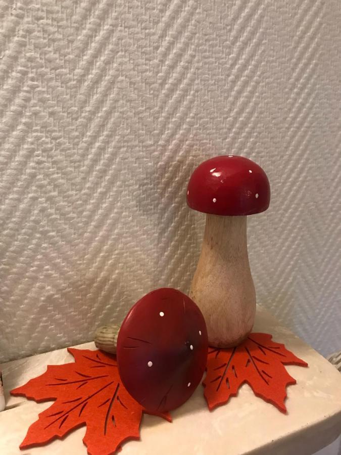 Appartement Chez Fabie Sélestat Zewnętrze zdjęcie