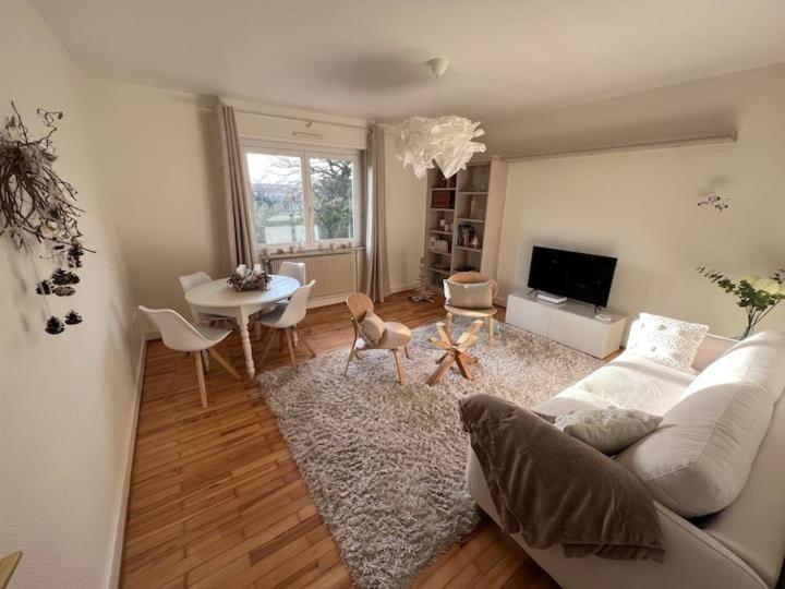 Appartement Chez Fabie Sélestat Zewnętrze zdjęcie