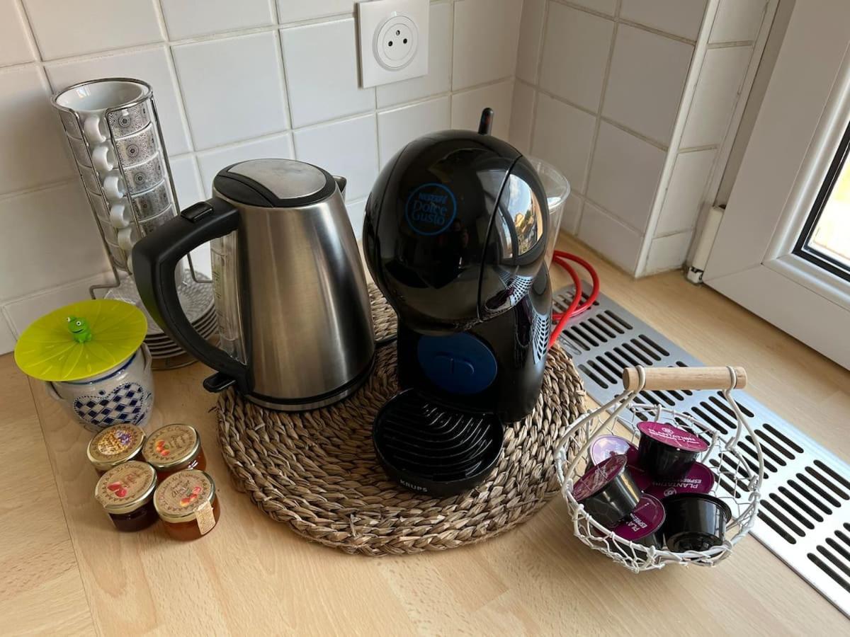 Appartement Chez Fabie Sélestat Zewnętrze zdjęcie