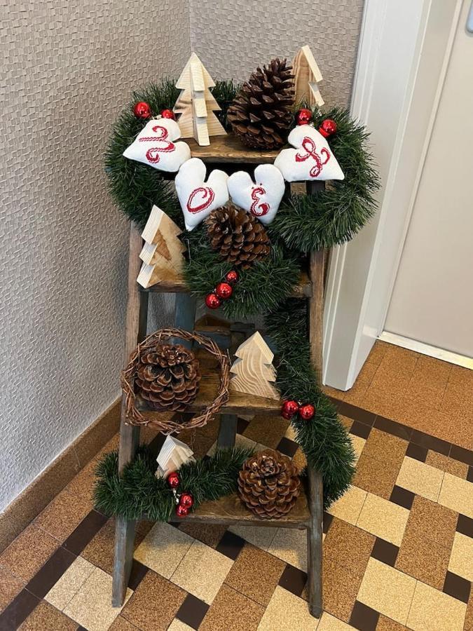 Appartement Chez Fabie Sélestat Zewnętrze zdjęcie