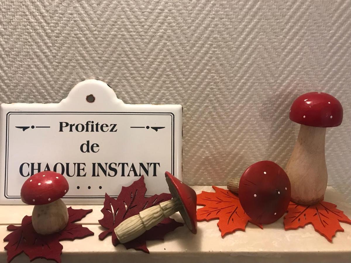 Appartement Chez Fabie Sélestat Zewnętrze zdjęcie