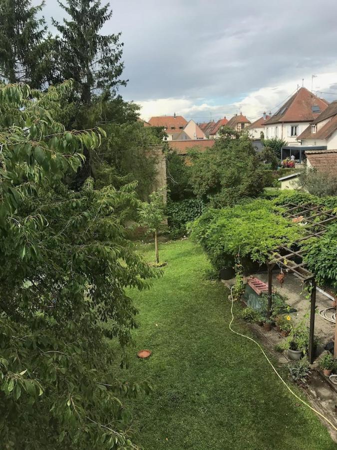 Appartement Chez Fabie Sélestat Zewnętrze zdjęcie